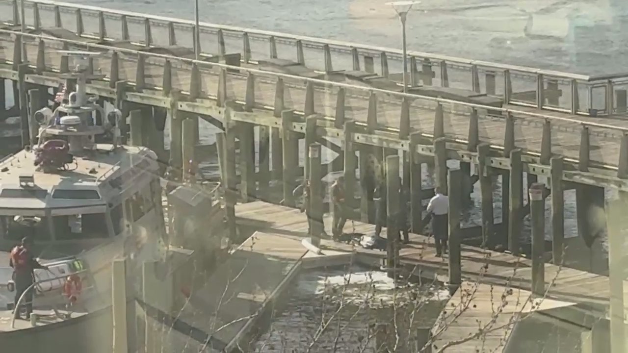 FDNY and NYPD marine units pulled the lifeless body of an 80-year-old man from the East River beneath a pier near Hunters Point South Park on Wednesday. 