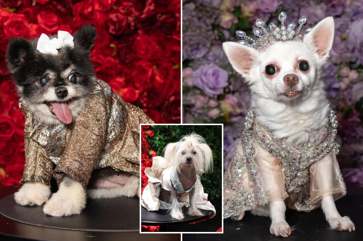 NYC Pet Gala 2026: Dogs Steal Met Gala Spotlight