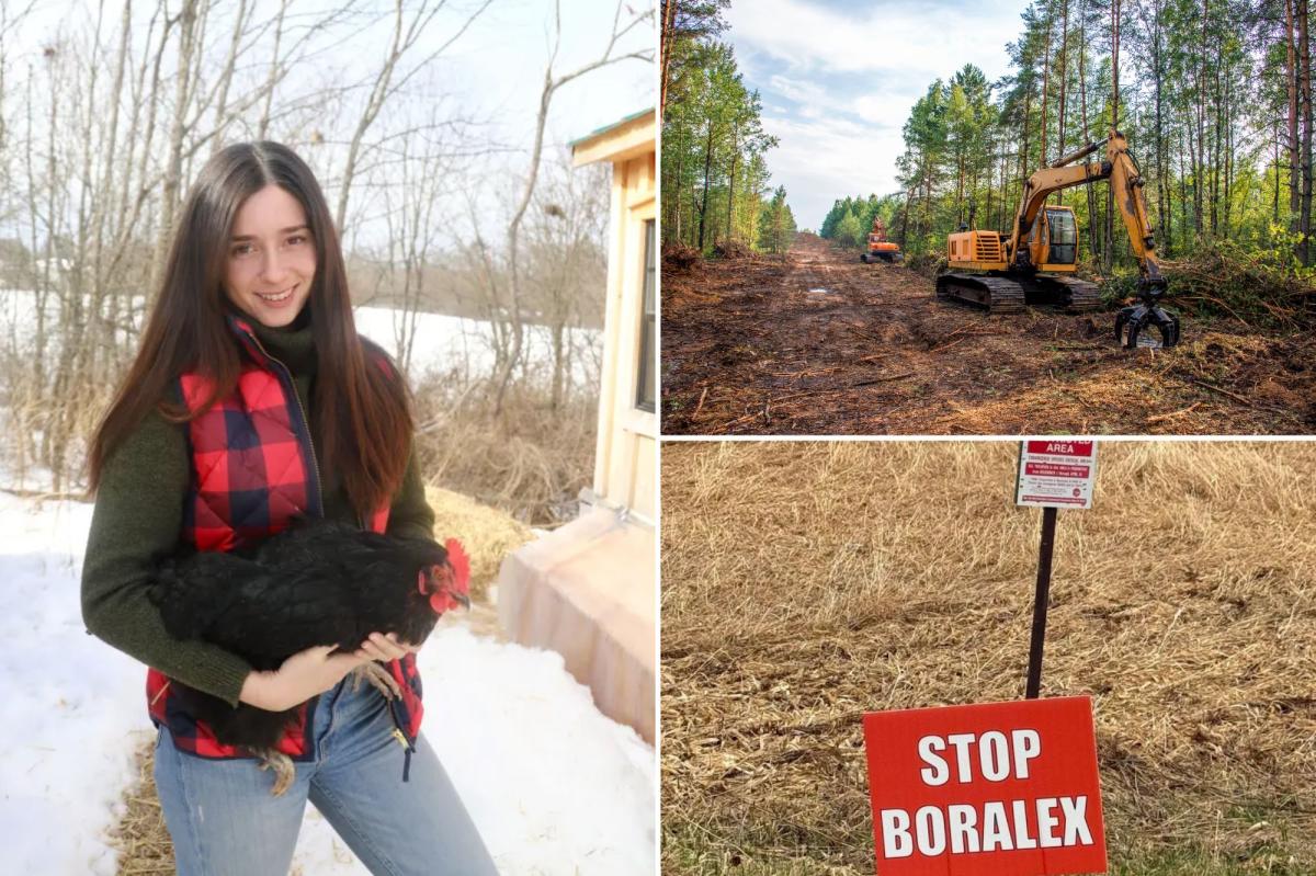 Resistance grows against New York's 18 planned solar farms that locals say ruin land, kill animals and won't create much energy