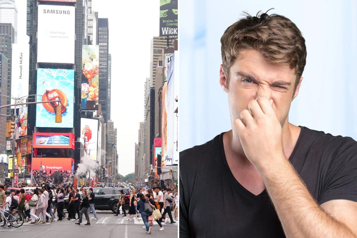 The Post sniffed out NYC's smelliest neighborhoods, according to 311 complaints