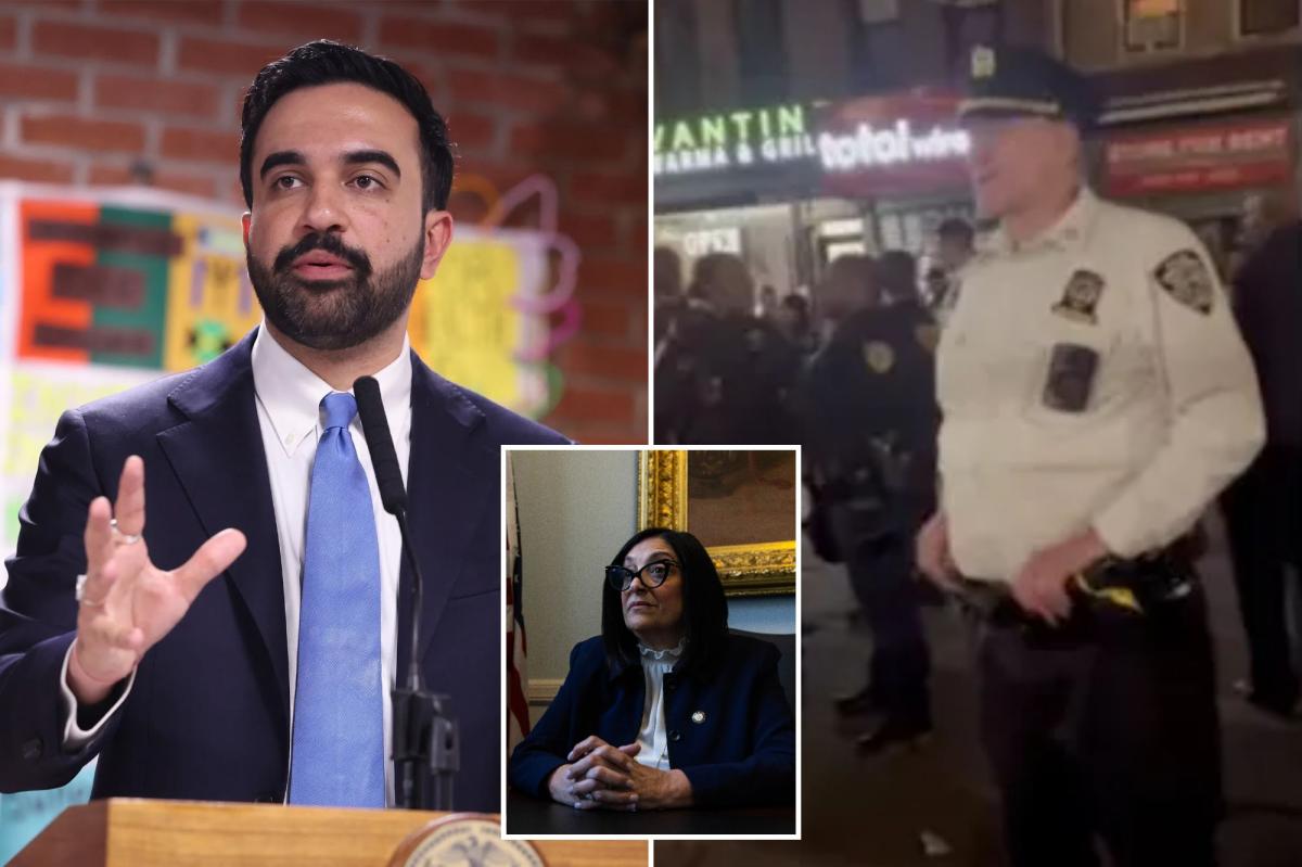 NYPD captain's transfer after viral rant shows City Hall has two sets of rules for Dems and Republicans: critics
