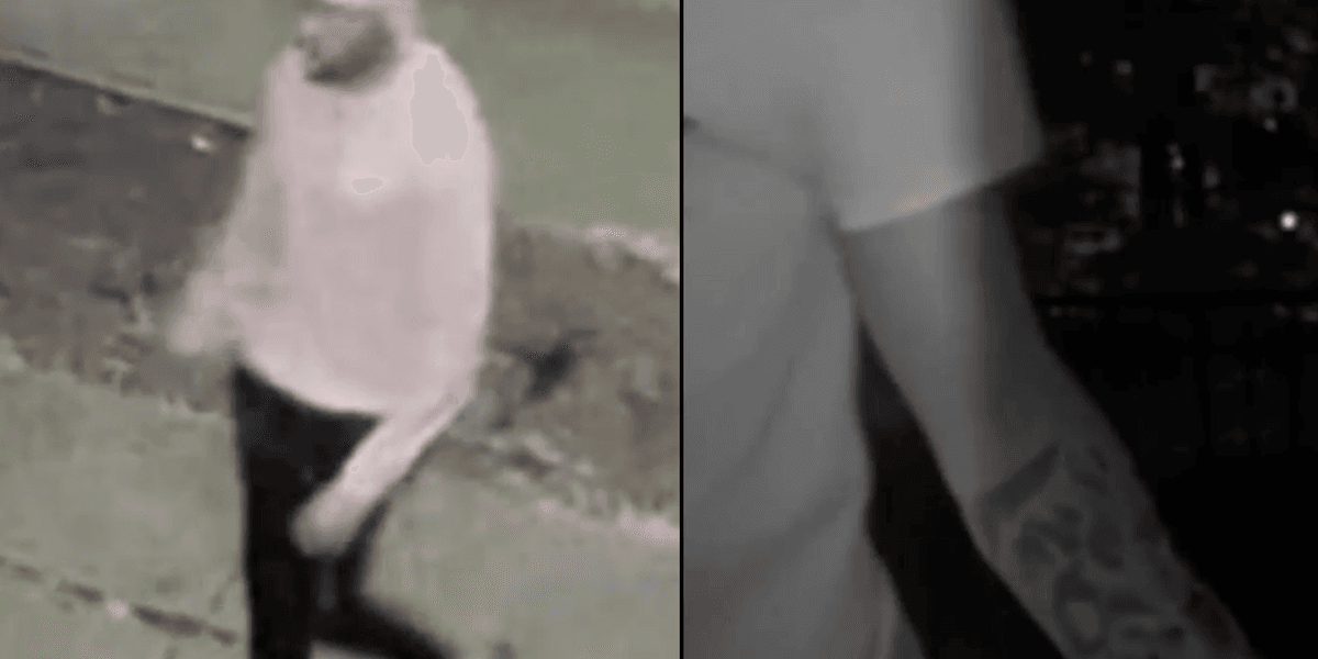 Man climbs into bedroom of 8-year-old Bronx girl, exposes himself: NYPD