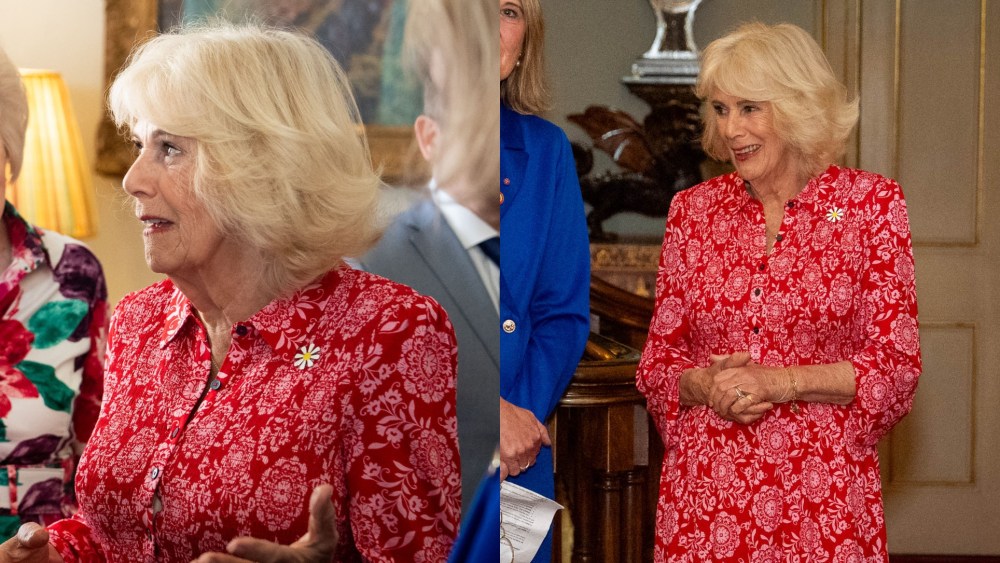 Queen Camilla wears Boden at a celebration for Medical Detention Dogs at a reception for the charity at Clarence House on May 12 in London.