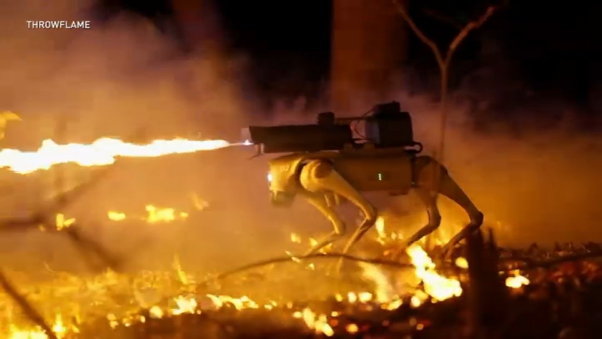 I-Team: Should NY ban robots from carrying flamethrowers and firearms? – NBC New York