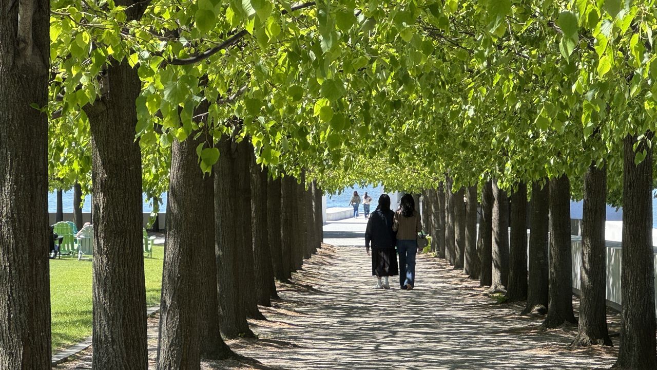 Sound installation arrives at Four Freedoms Park