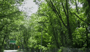 Woman found dead off roadway near Queens park