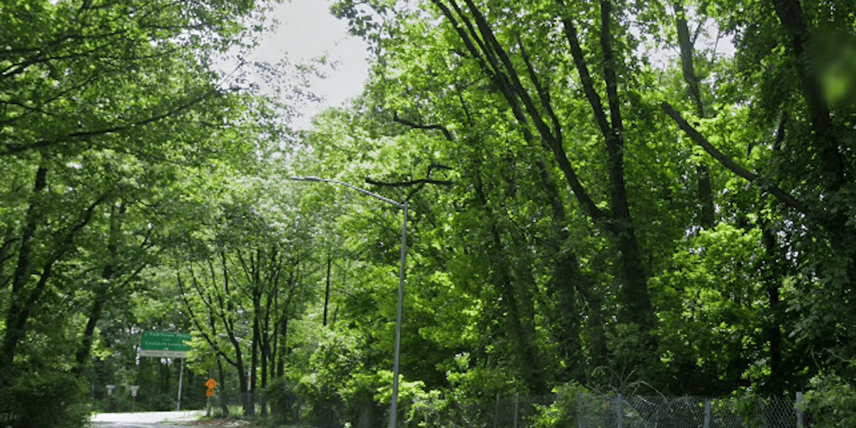 Woman found dead off roadway near Queens park