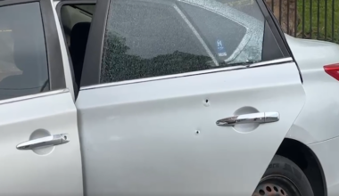 News 12 | Bronx | Man Hit As Shots Were Fired Early Morning In Soundview
