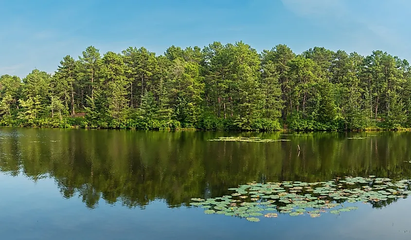A panoramic view of Harry Wright Lake in Manchester Township, New Jersey.