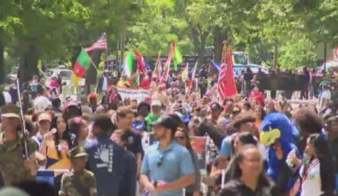 Bronx Week kicks off: Things to know
