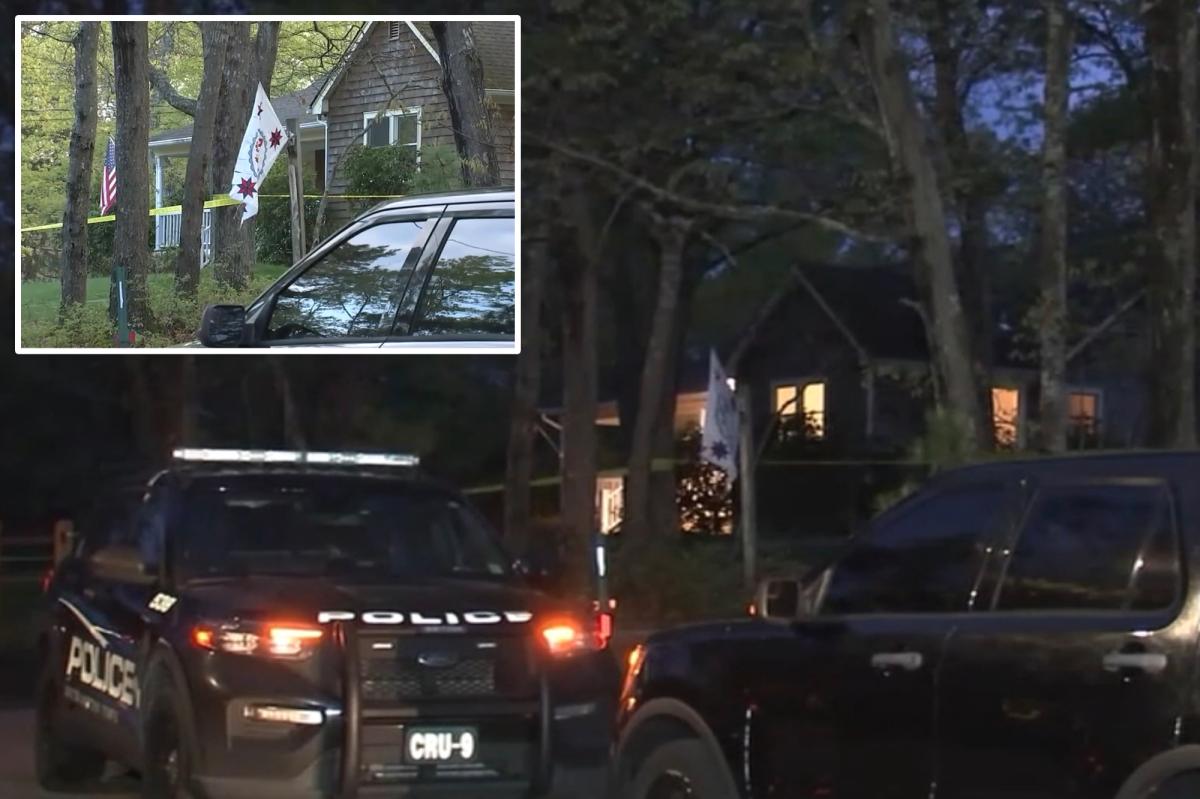 Long Island cops fatally shoot son accused of stabbing disabled mom on Mother's Day