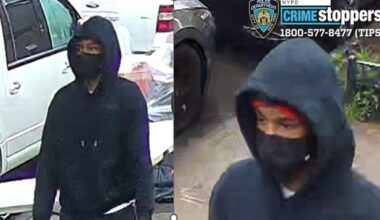 Suspect snatched elderly woman’s purse as she walked along 37th Avenue in Jackson Heights: NYPD – QNS