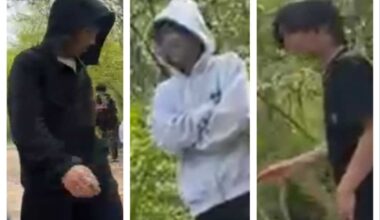 Three suspects wanted for assaulting 13-year-old boy at Flushing’s Kissena Park: NYPD – QNS