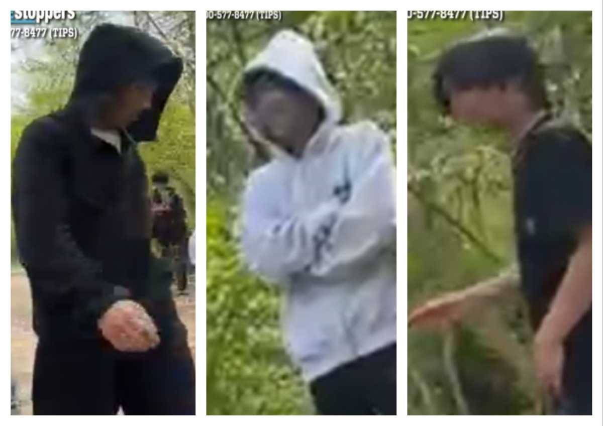 Three suspects wanted for assaulting 13-year-old boy at Flushing’s Kissena Park: NYPD – QNS