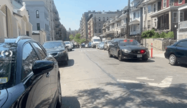 Man stabbed to death in Bronx street fight: sources