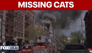 Bronx fire victims demand access to vacated building to rescue cats