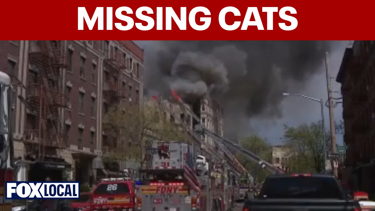 Bronx fire victims demand access to vacated building to rescue cats