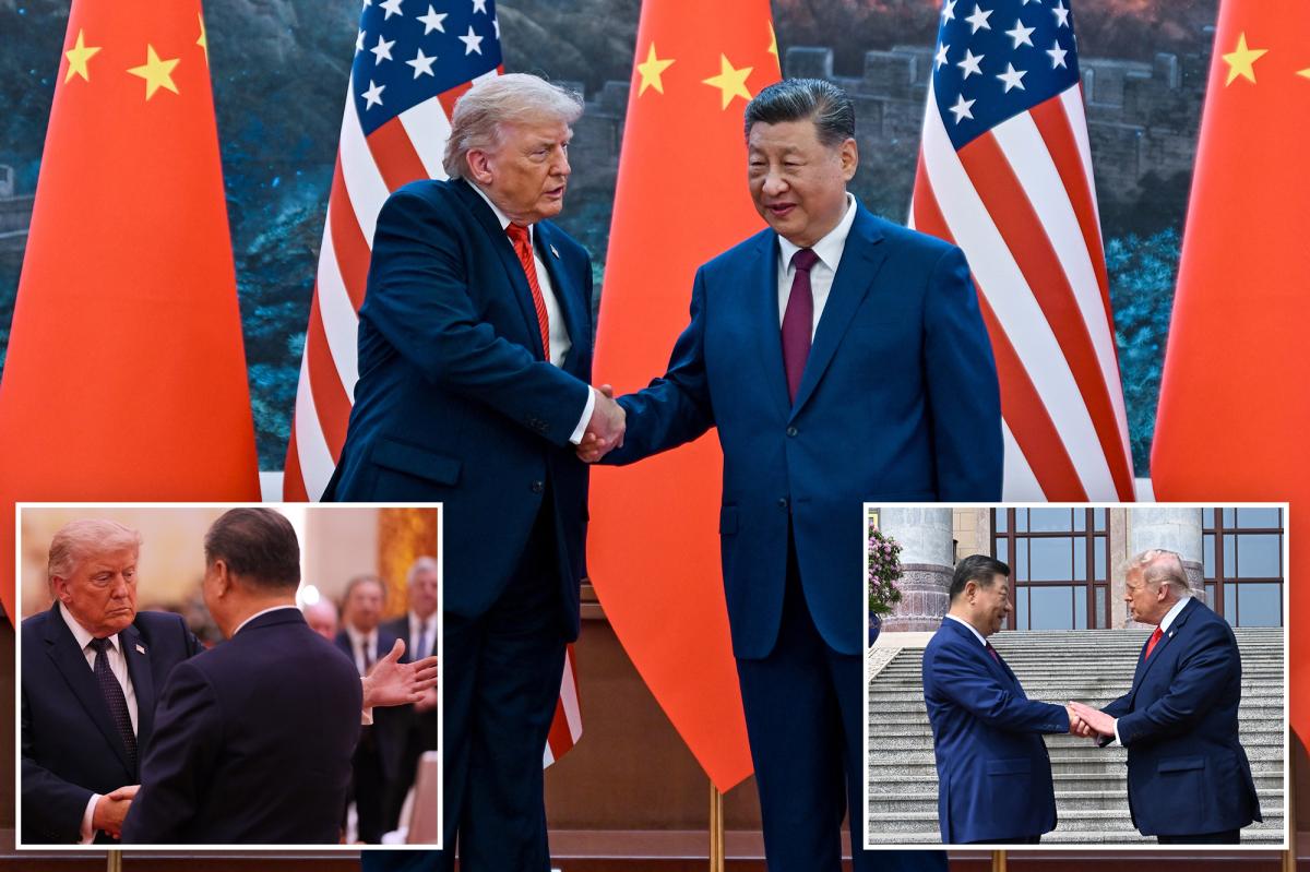 'Lion'-like Trump deploys 'power move' as he, Xi show 'genuine affection' during historic China summit: body language expert