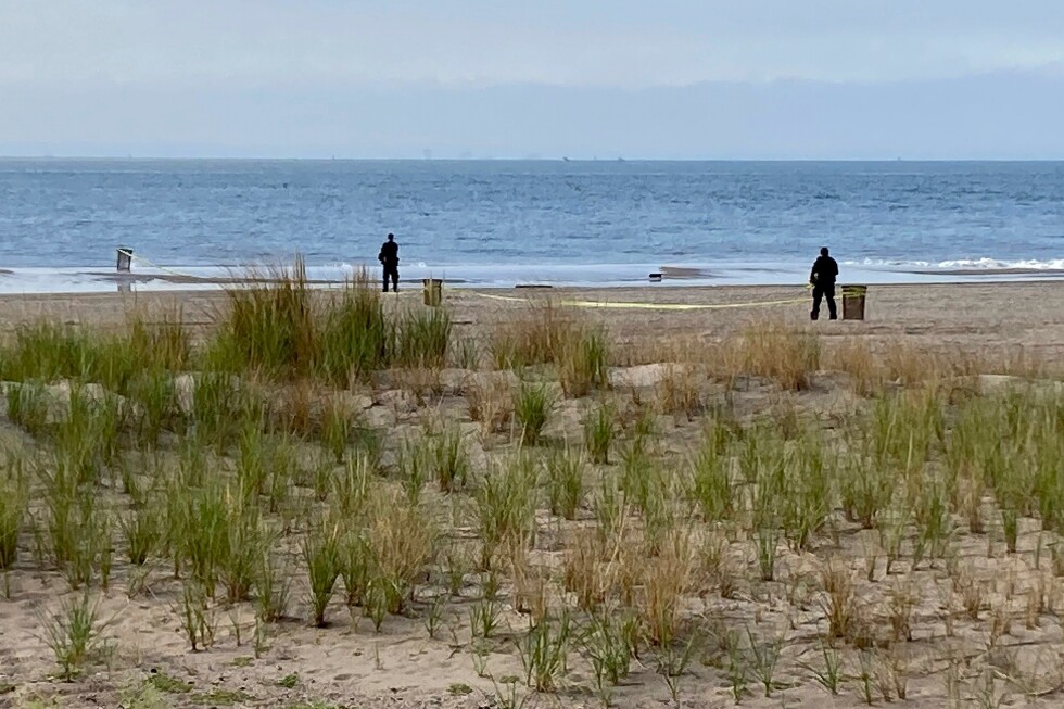 Mom sentenced for drowning 3 kids at NYC beach