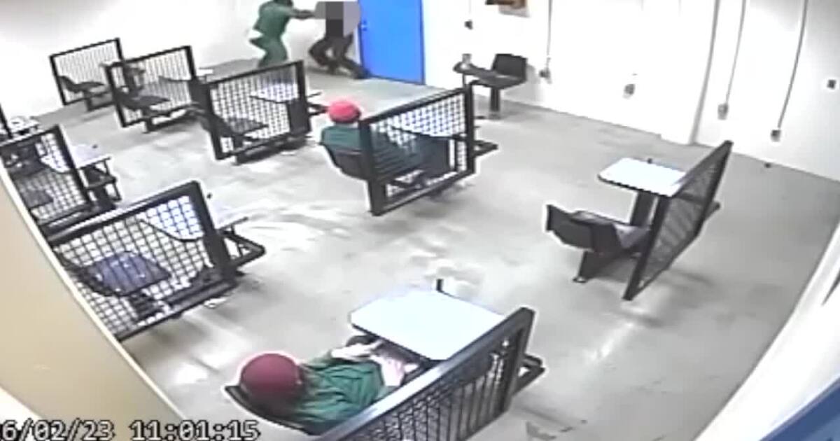 New York State DOCCS releases video of Lakeview Correctional assault