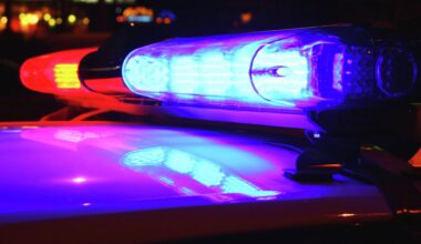 Brooklyn Park man charged with firearm violation, assault, threats of violence - The Globe