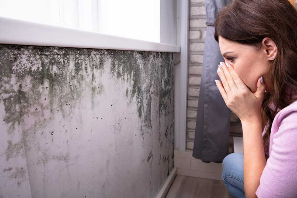 NYC Mold Removal Program Cut Asthma ER Cases By A Quarter, Study Says