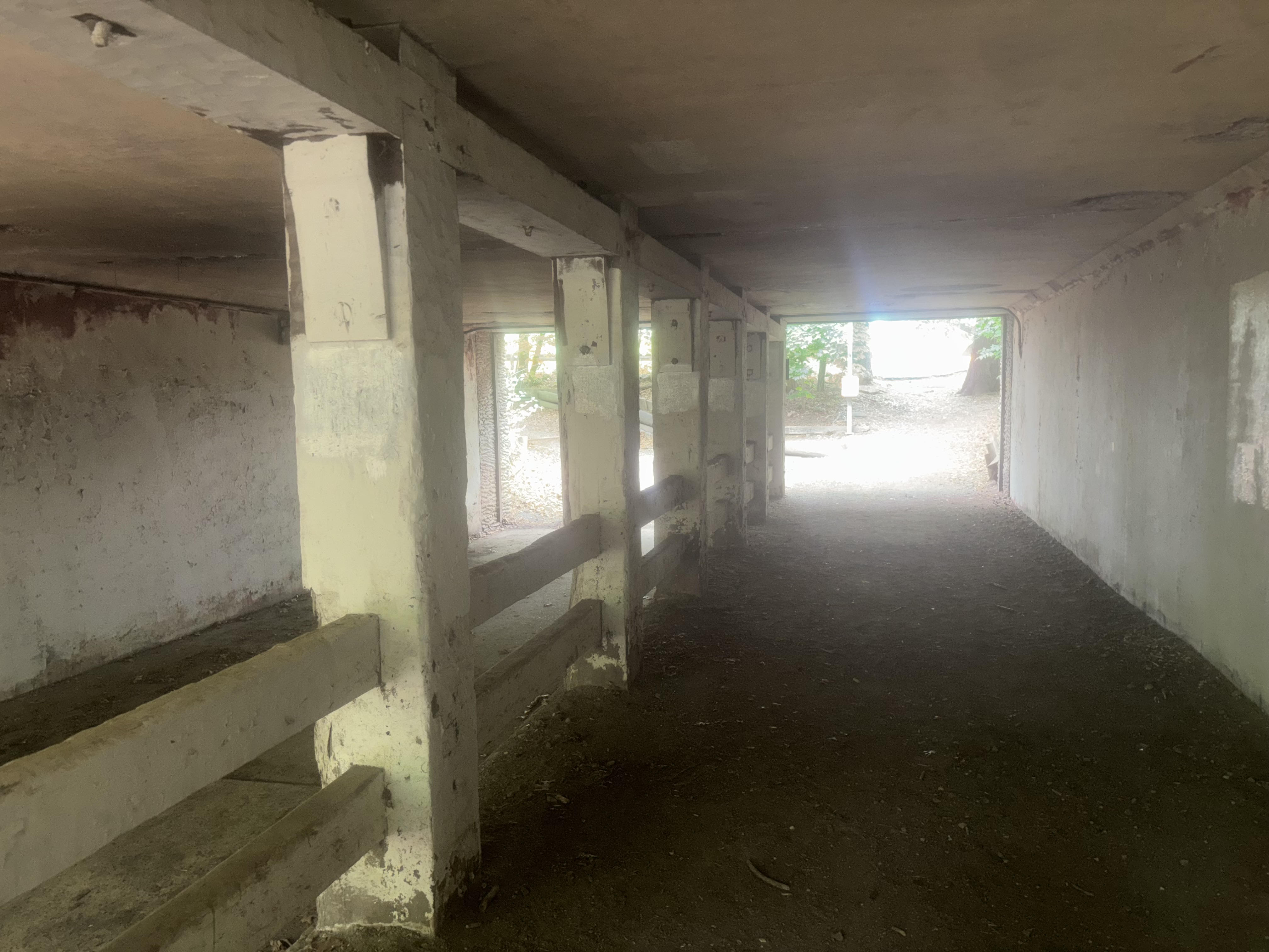 NYC Parks workers removed the antisemitic graffiti from the tunnel at Forest Park and Highland Park by noon on May 11. 