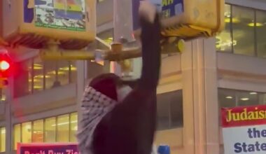 Pro-Palestinians Protest in Manhattan, Deface Rebbe Poster
