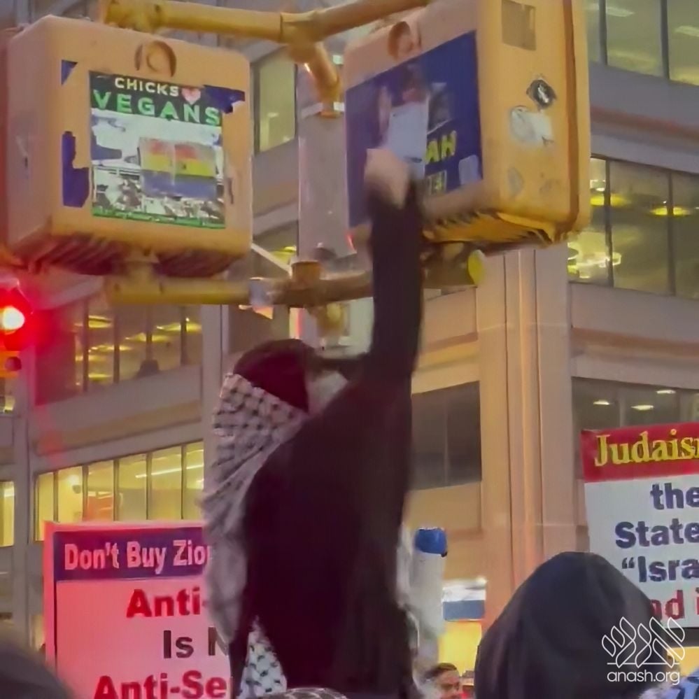 Pro-Palestinians Protest in Manhattan, Deface Rebbe Poster