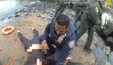 A woman and her cat, seen right, were rescued from the East River on Thursday. Image: NYPD