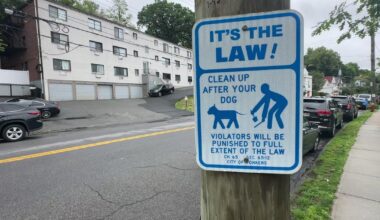 Yonkers law enforcement cracks down on dog waste violations