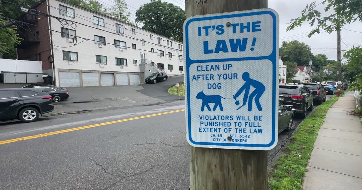 Yonkers law enforcement cracks down on dog waste violations
