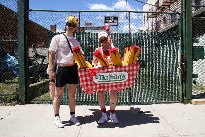 french fry costume