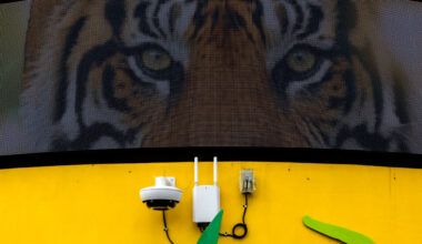 Lions, Tigers, Bears and Bomb Sniffing Dogs: Zoos Face Scores of Swatting Attacks