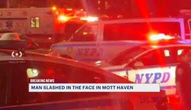 News 12 | Bronx | Man Slashed In The Face Outside Mott Haven Restaurant
