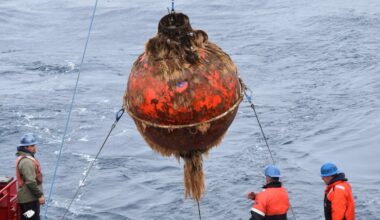 Trump Administration to Dismantle the Ocean Observatories Initiative
