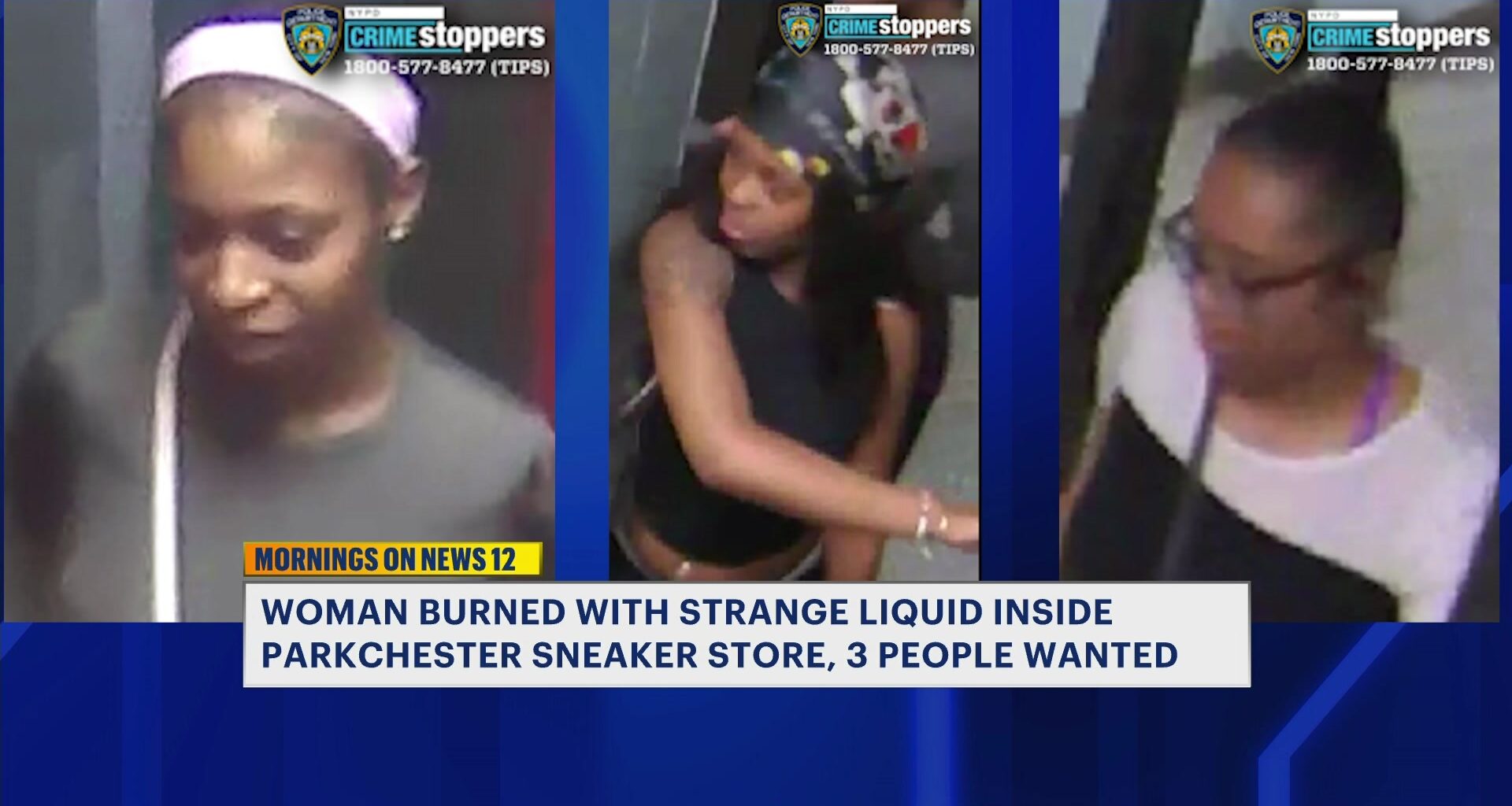 News 12 | Bronx | Women Wanted For Parkchester Assault