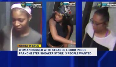 News 12 | Bronx | Women Wanted For Parkchester Assault
