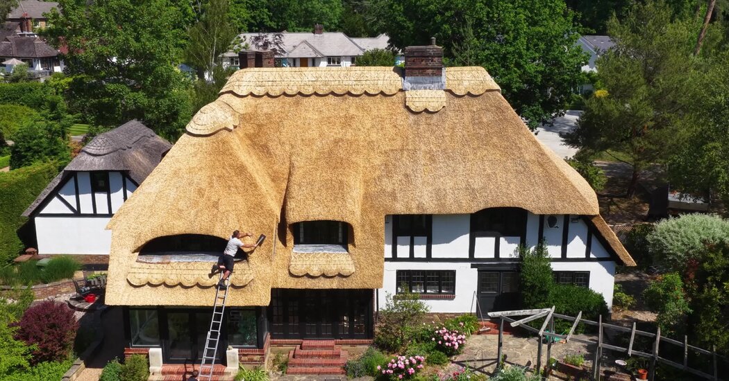 The Feud Inside England’s Community of Master Home Thatchers
