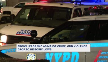 News 12 | Bronx | Bronx Leads Nyc As Major Crime Gun Violence Drop To Historic Lows