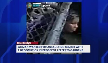 News 12 | Bronx | Woman On The Run After 98 Year Old Man Attacked With Chair Broomstick In Prospect Lefferts Building