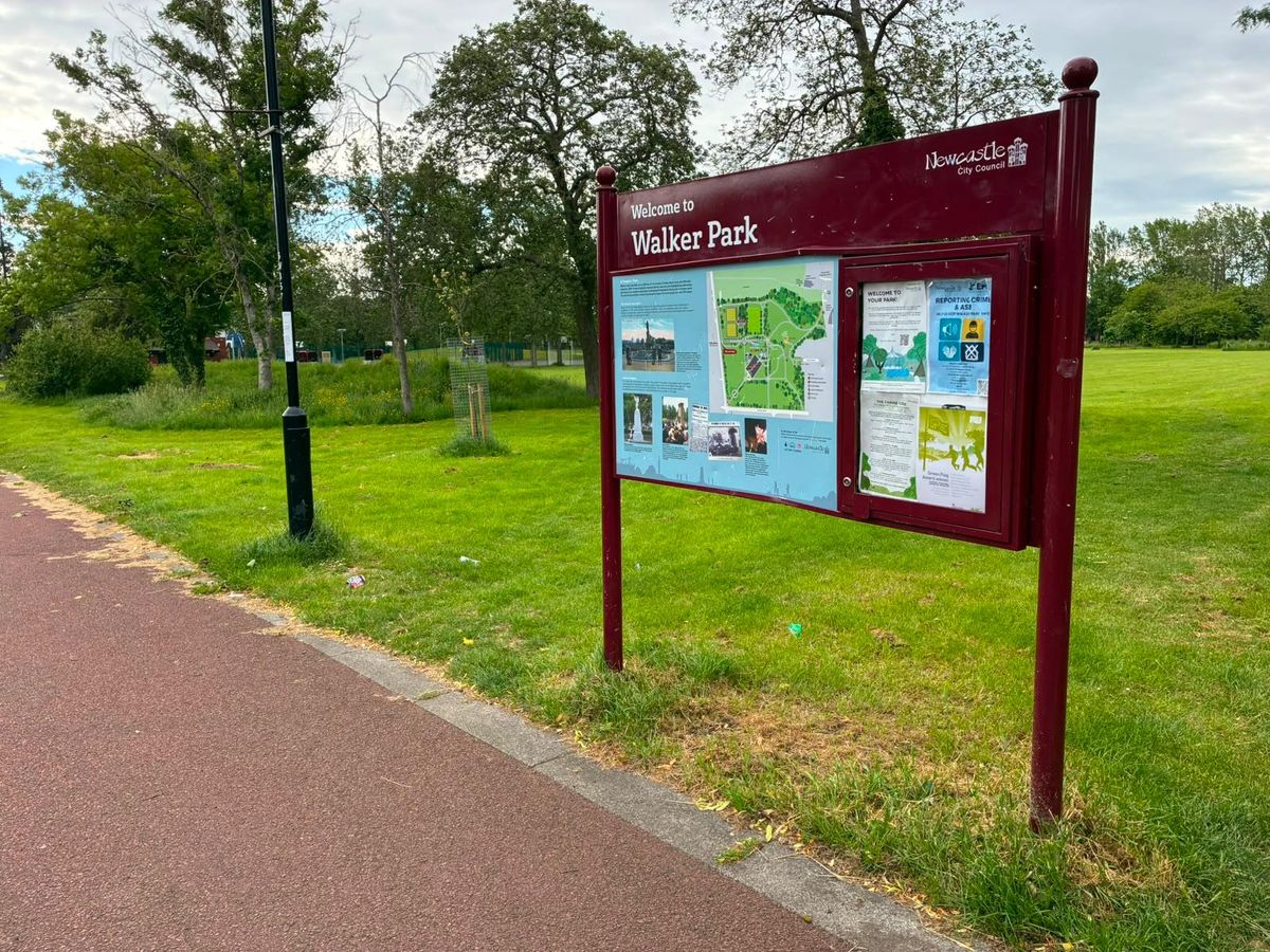 Walker Park in Newcastle