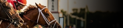 10% back on horses at US Racing