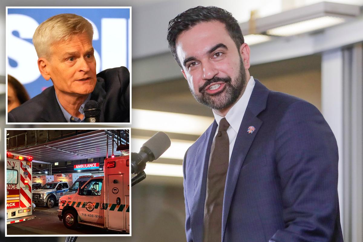 Senate health boss demands Mamdani answer for breach of NYC hospital system where hackers lurked for 3 months