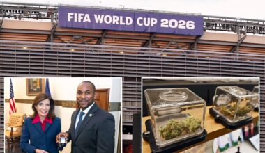 High kicks: NY gives local World Cup fans tips on how to land safe, legal cannabis
