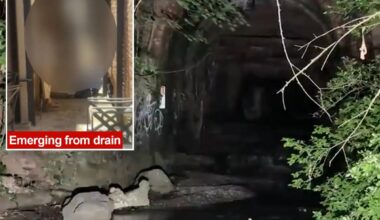 Dozens of teenage girls rescued from NY sewer system after exploration attempt goes wrong
