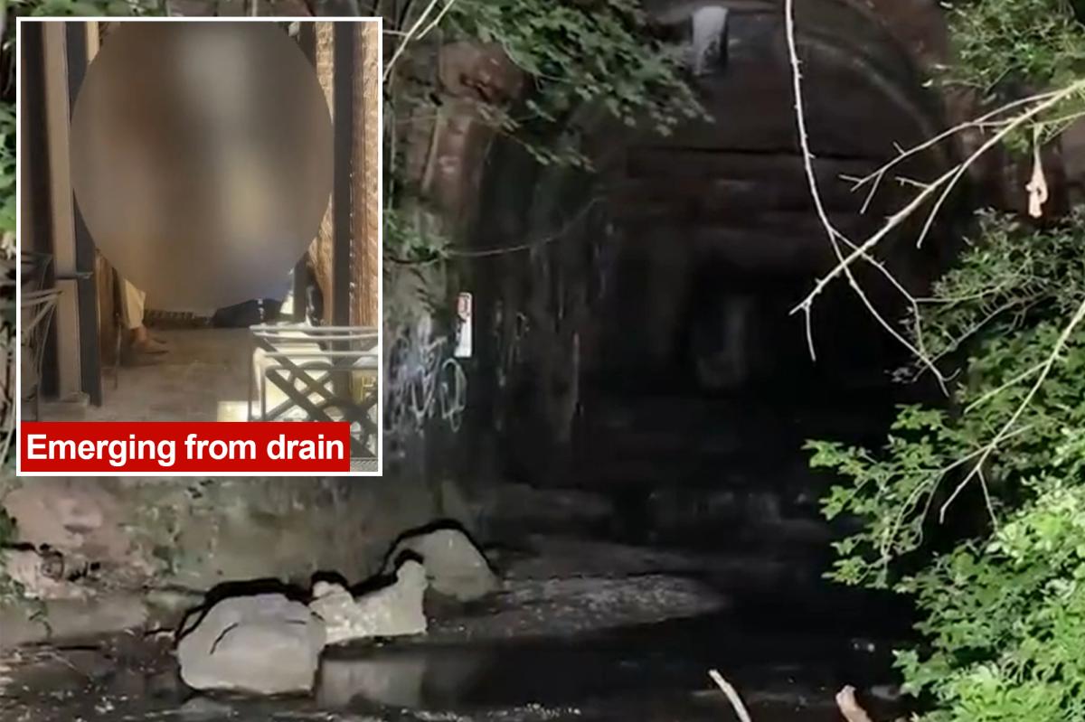 Dozens of teenage girls rescued from NY sewer system after exploration attempt goes wrong