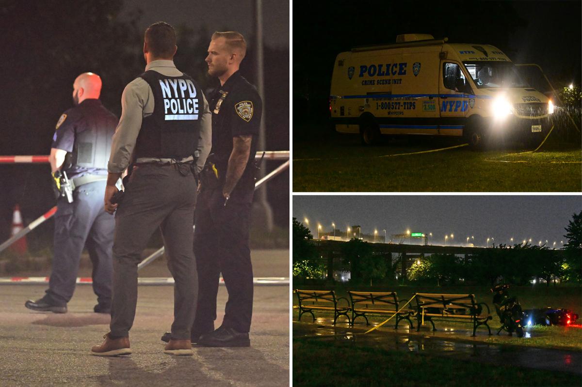 Young man fatally stabbed during fight with violent crew on wheels inside NYC waterfront park: cops, sources