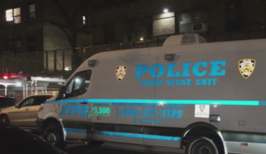 ‘In cold blood’: Bronx man used bowling ball to kill his sleeping brother