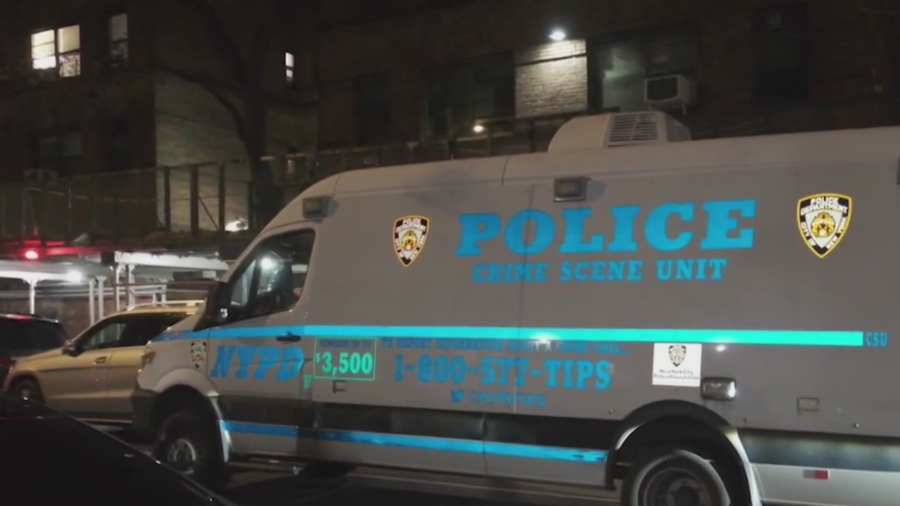 ‘In cold blood’: Bronx man used bowling ball to kill his sleeping brother